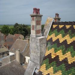 Fake specific camouflage chimney
